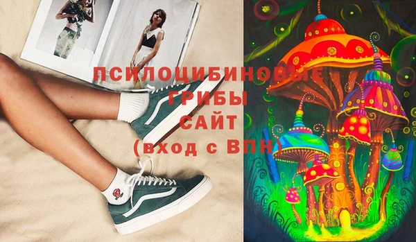 ГАЛЛЮЦИНОГЕННЫЕ ГРИБЫ Балабаново