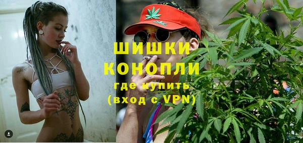 ГАЛЛЮЦИНОГЕННЫЕ ГРИБЫ Балабаново