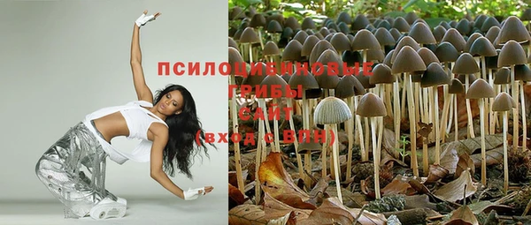 ГАЛЛЮЦИНОГЕННЫЕ ГРИБЫ Балабаново