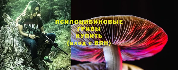 эйфоретик Баксан