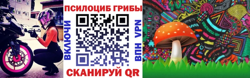 Псилоцибиновые грибы GOLDEN TEACHER  Лыткарино 